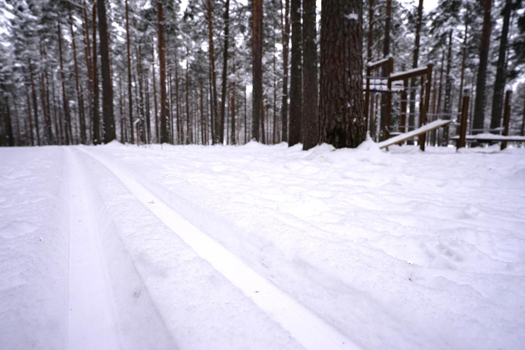 Home Aurora - Loft-Sauna-Wifi Rovaniemi Exterior foto